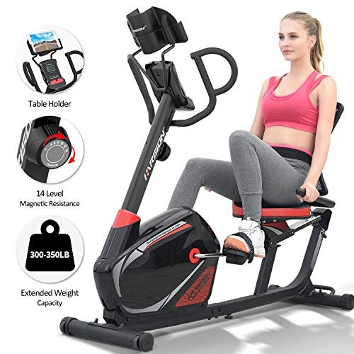 HARISON Recumbent Exercise Bike Stationary with 14 Level Magnetic Resistance, Tablet Holder, RPM, Wide Seat, and Pulse Rate Monitoring