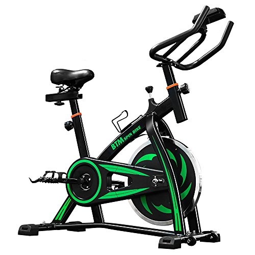 LIFE CARVER BTM Indoor Cycling Exercise Bike Spin Bike Studio Cycles Exercise Machines (green)