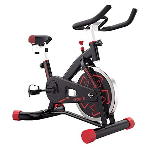 LY Indoor Cycling Exercise Bike Stationary Commercial Standard, Ipad Mount, Soft Cushion,Belt Drive Smooth and Quiet with Adjustable Seat & Handlebars & Base for Indoor/Garden/Workout Cardio