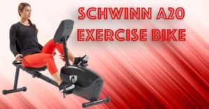 Schwinn A20 Exercise Bike Image